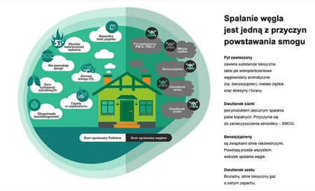 BARLINEK - Pelet drzewny A1