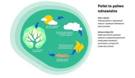 BARLINEK - Pelet drzewny A1